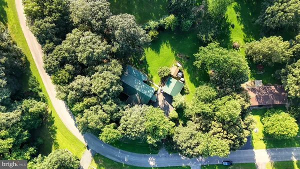 a view of a garden with plants