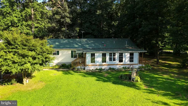 a view of a garden with plants