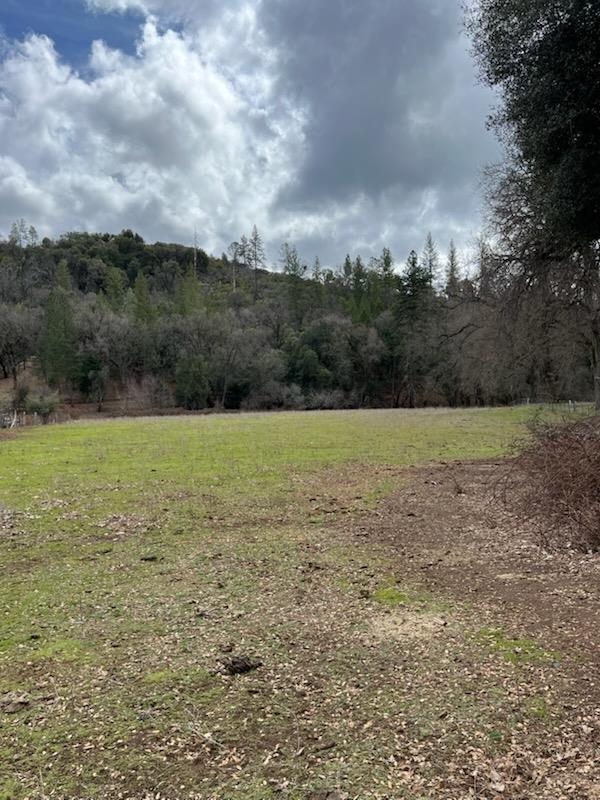 6165 Blue Eagle Mine Road Mountain Ranch, CA 95246 - Photo 11 of 13 a view of a field with an ocean