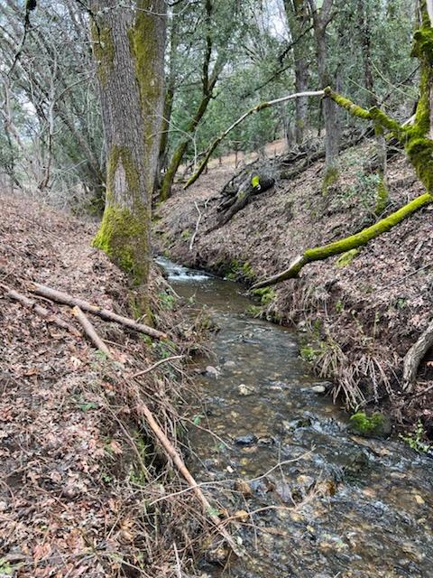 6165 Blue Eagle Mine Road Mountain Ranch, CA 95246 - Photo 12 of 13 a backyard of a house with lots of green space