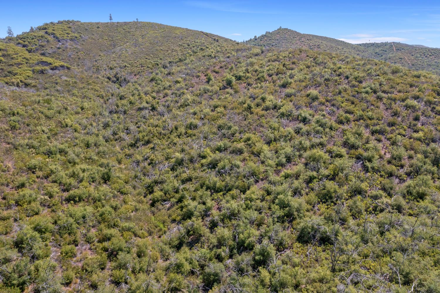 6165 Blue Eagle Mine Road Mountain Ranch, CA 95246 - Photo 7 of 13 a view of a large mountain with a mountain in the background