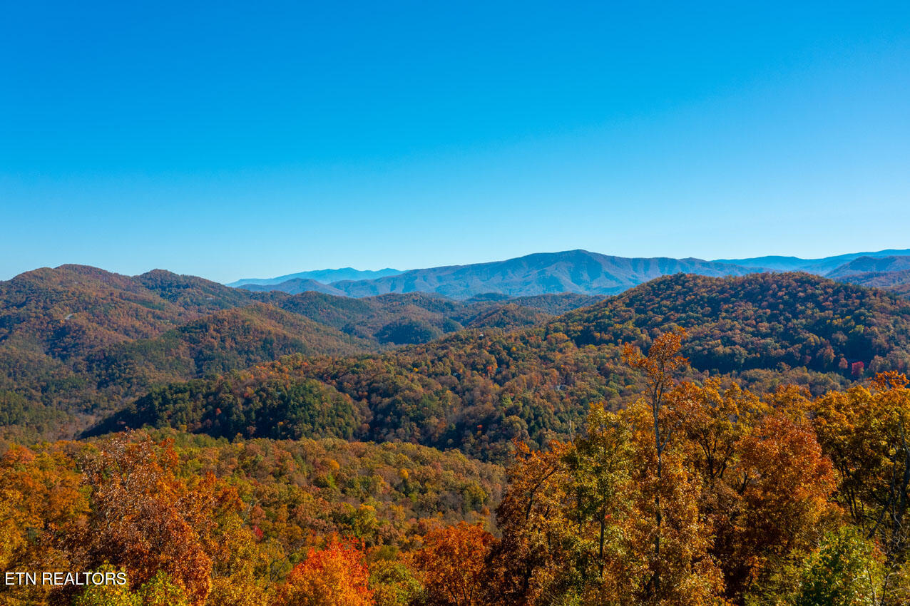 4903 Long Rifle Road Walland, TN 37886 - Photo 10 of 28 DJI_0297-HDR