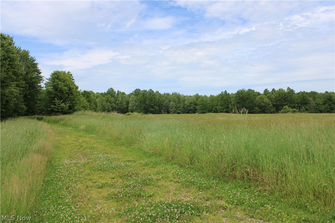 6373 Laskey Road Rome, OH 44085 - Photo 16 of 31