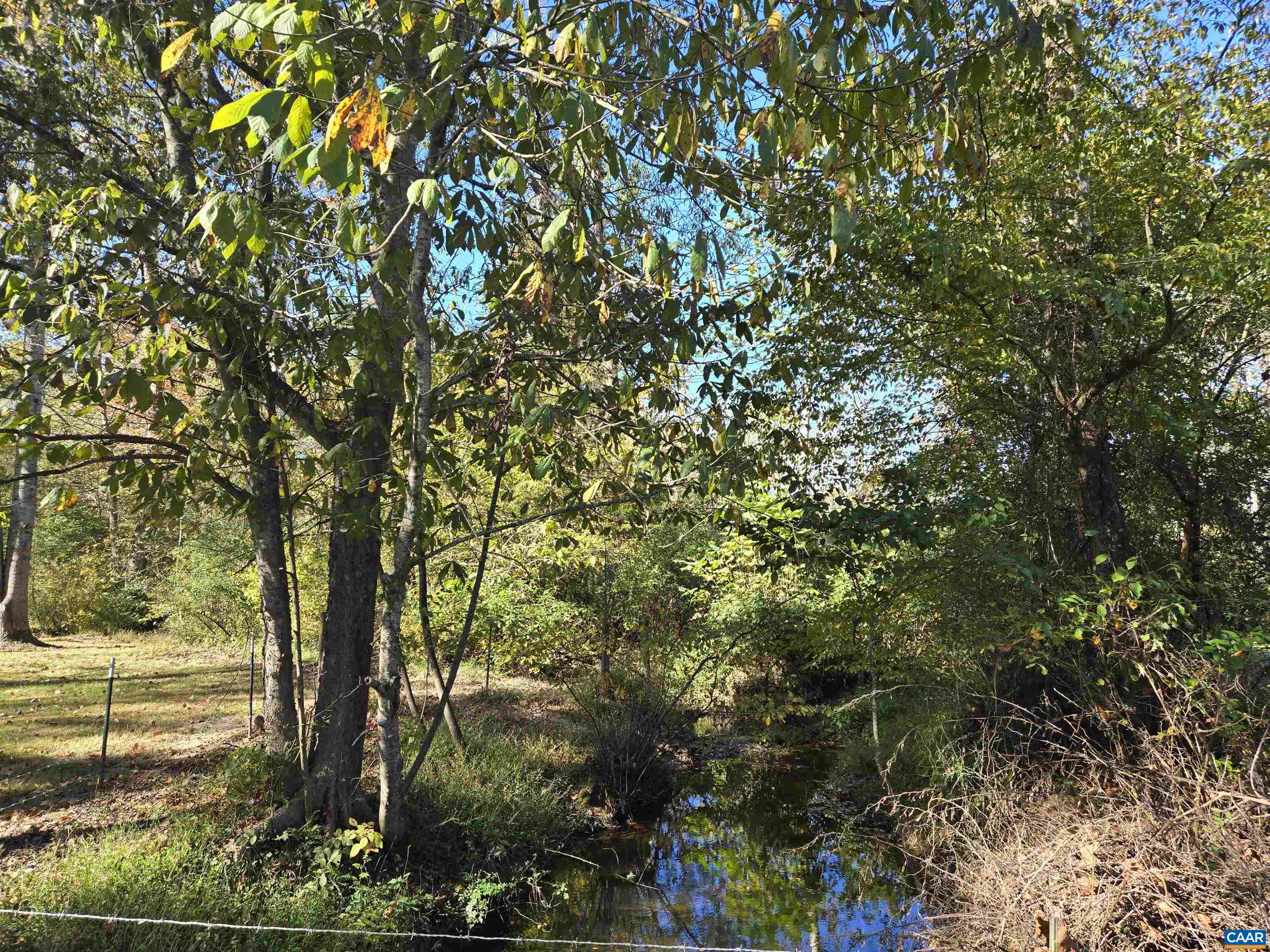 3691 Meherrin Road Meherrin, VA 23954 - Photo 56 of 75 a view of a forest with trees