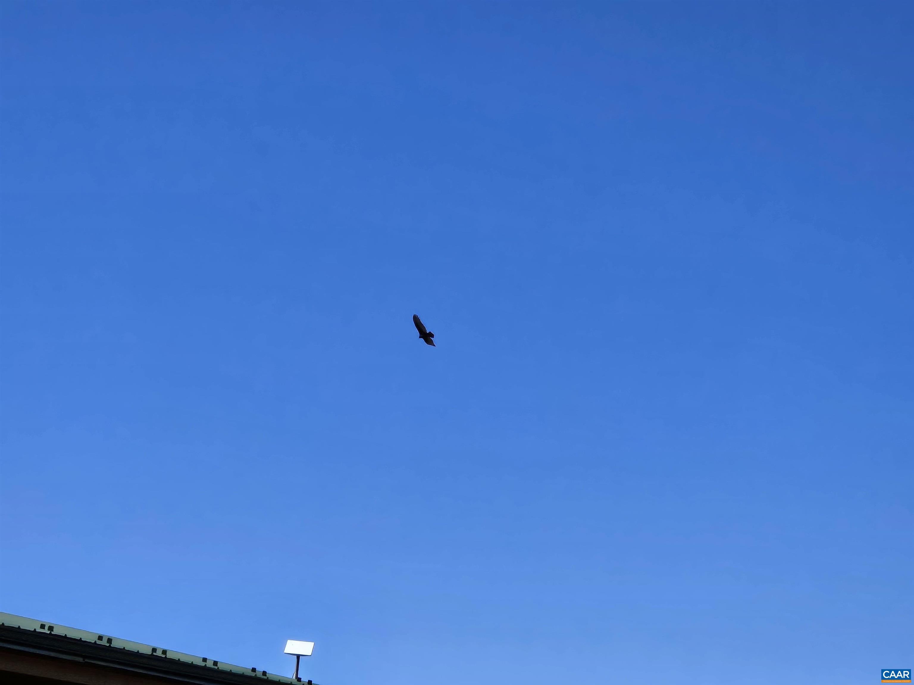 3691 Meherrin Road Meherrin, VA 23954 - Photo 65 of 75