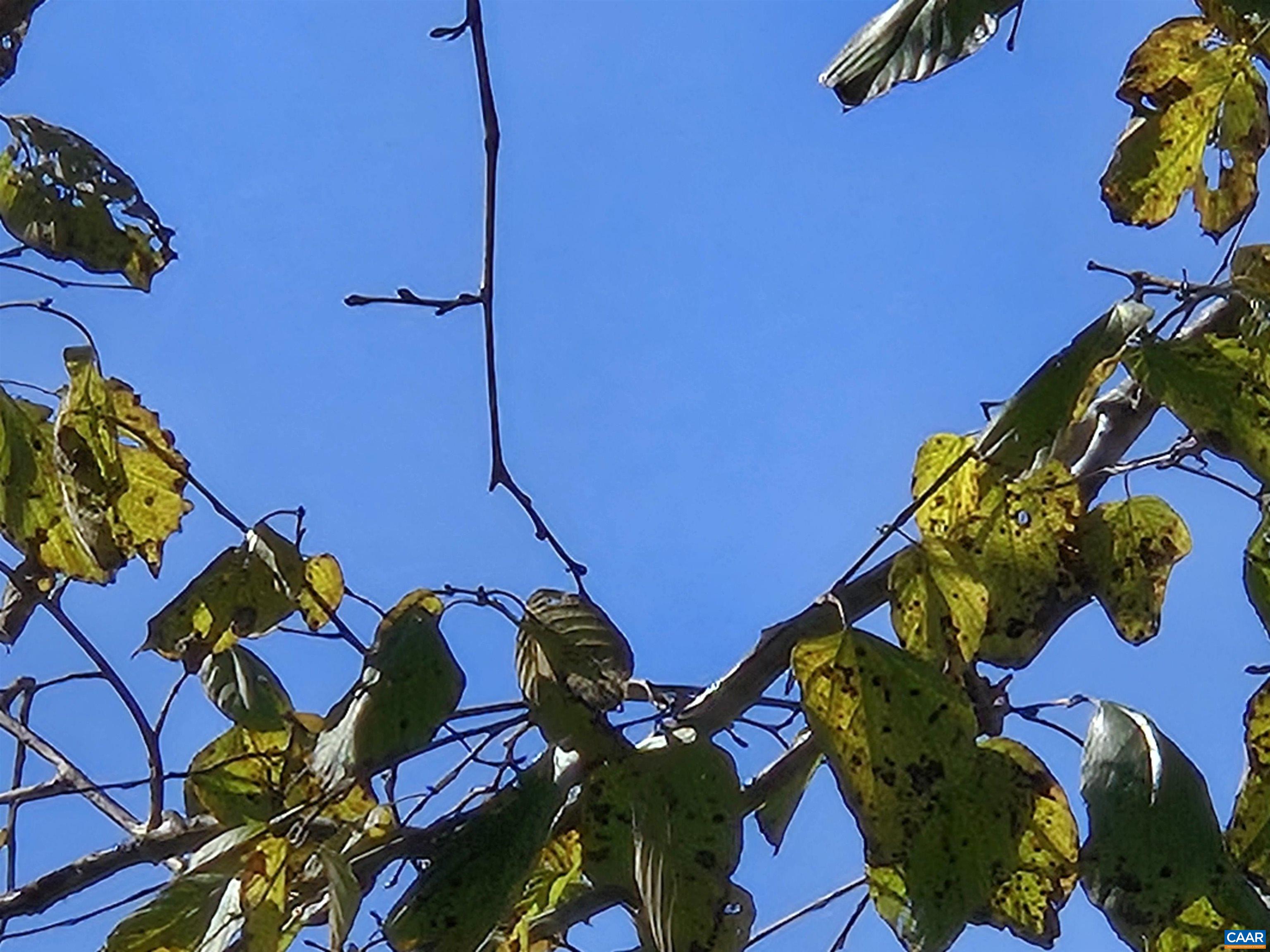 3691 Meherrin Road Meherrin, VA 23954 - Photo 66 of 75