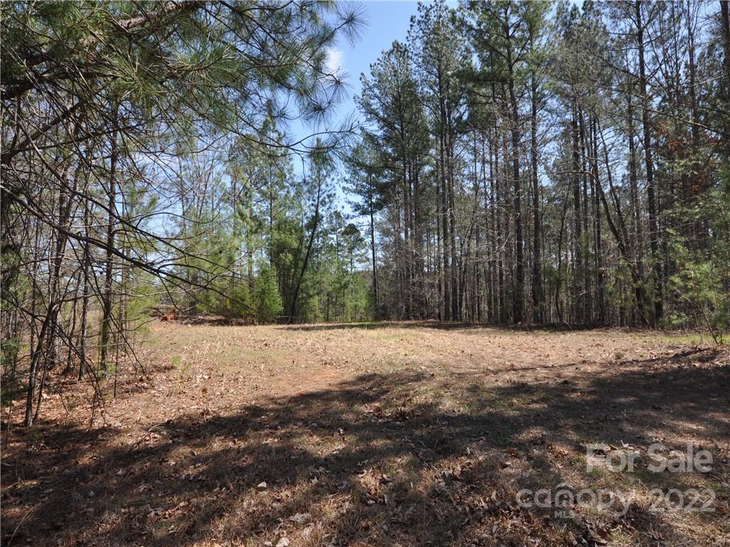 99999 Overmountain Trail, Unit 4 6 PLUS Rutherfordton, NC 28139 - Photo 3 of 13 a wooden bench with view of trees