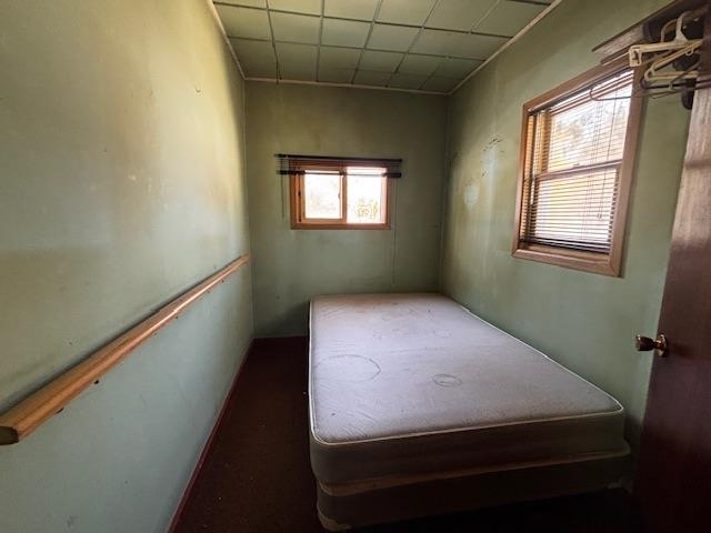 3515 Doerr Road Mancelona, MI 49659 - Photo 15 of 29