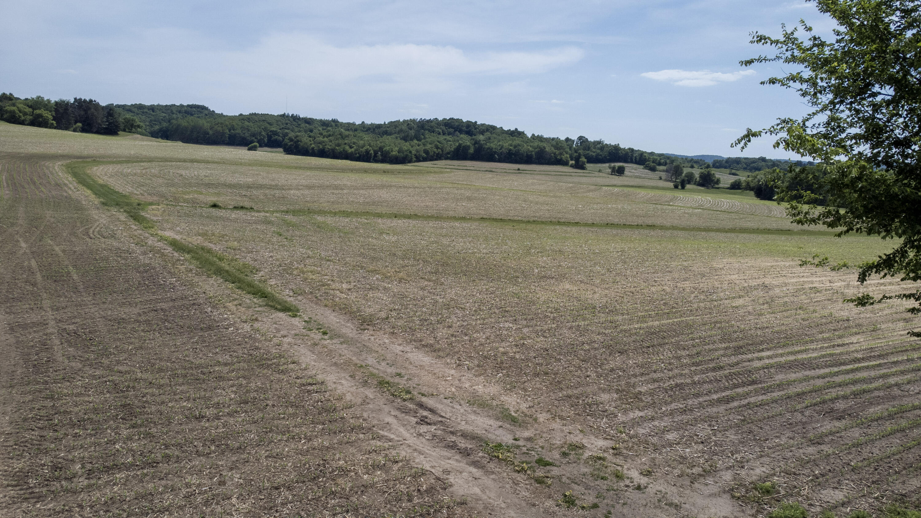 0 Dopp Road Galesville, WI 54630 - Photo 16 of 65 61-DJI_0660