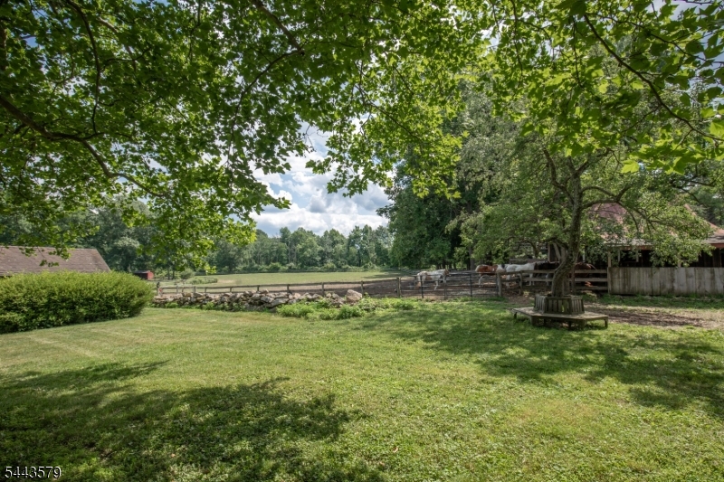 17 Hollow Brook Road Califon, NJ 07830 - Photo 8 of 49