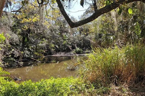a view of a lake with houses