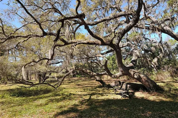 a view of backyard with table and chairs under an umbrella with large trees
