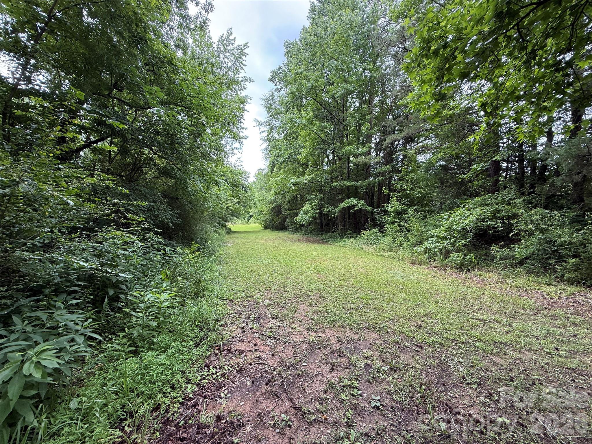 2430 Grubb Ferry Road Salisbury, NC 28144 - Photo 4 of 21