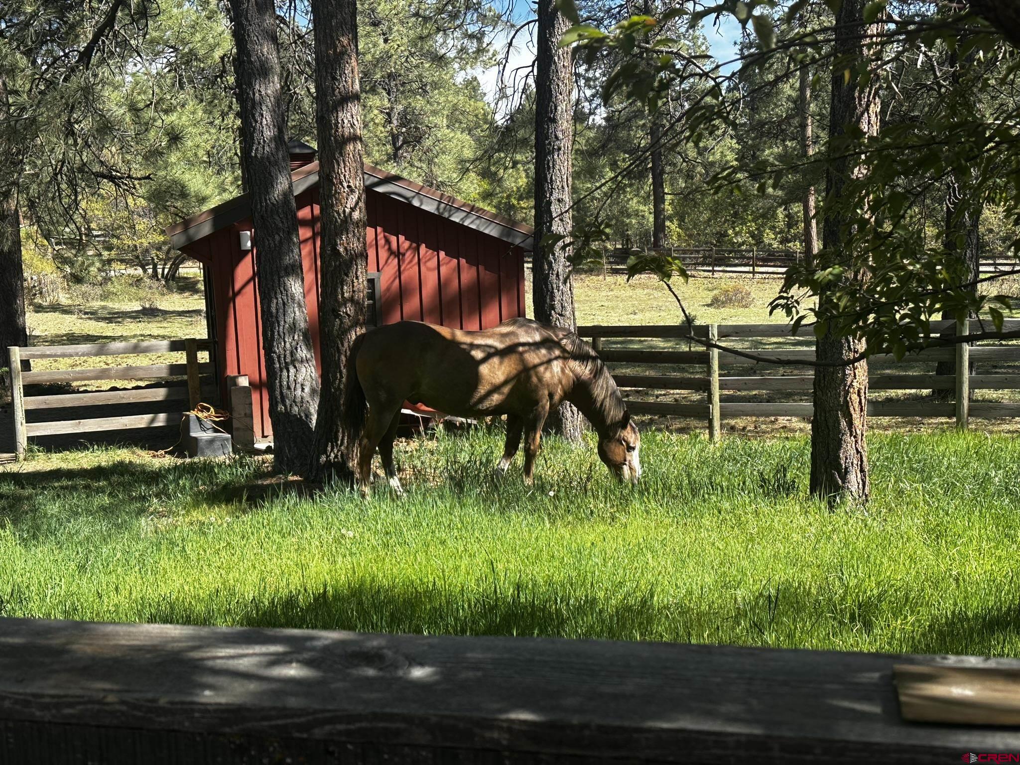 513 West Log Hill Road Pagosa Springs, CO 81147 - Photo 2 of 20