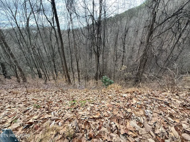 $6,000 | Lot 34 Alpine Drive, Sevierville, TN 37876