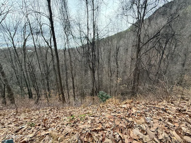 $6,000 | Lot 34 Alpine Drive, Sevierville, TN 37876