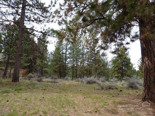 3202 McClellan Road Bend, OR 97702 - Photo 1 of 25 a view of a forest with trees in the background