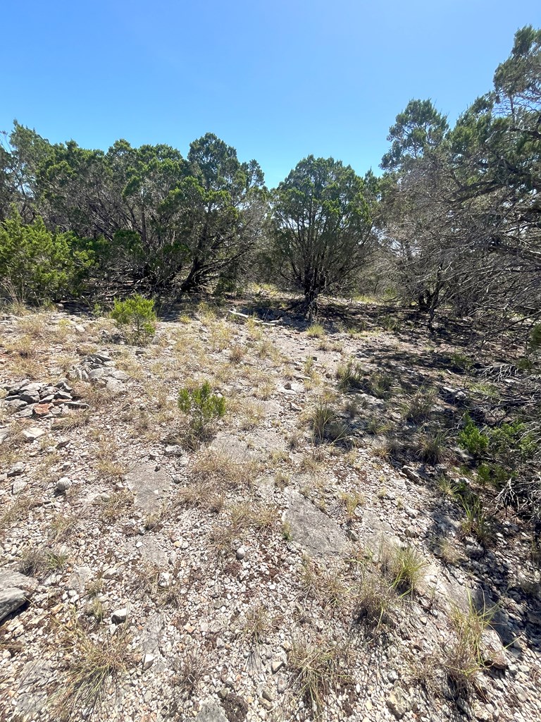 3835 Bluff Creek Road Leakey, TX 78873 - Photo 11 of 41