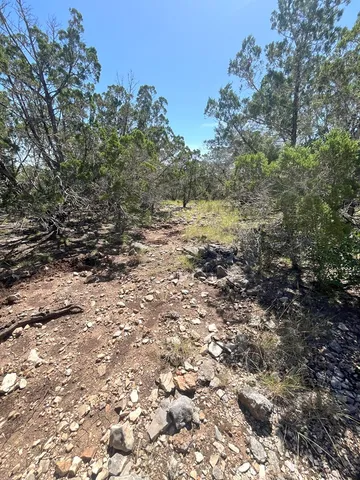 a view of a yard with a tree