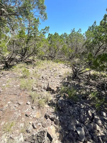 a view of a yard in a yard