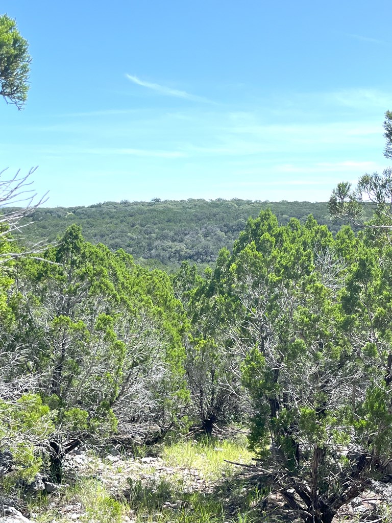3835 Bluff Creek Road Leakey, TX 78873 - Photo 17 of 41