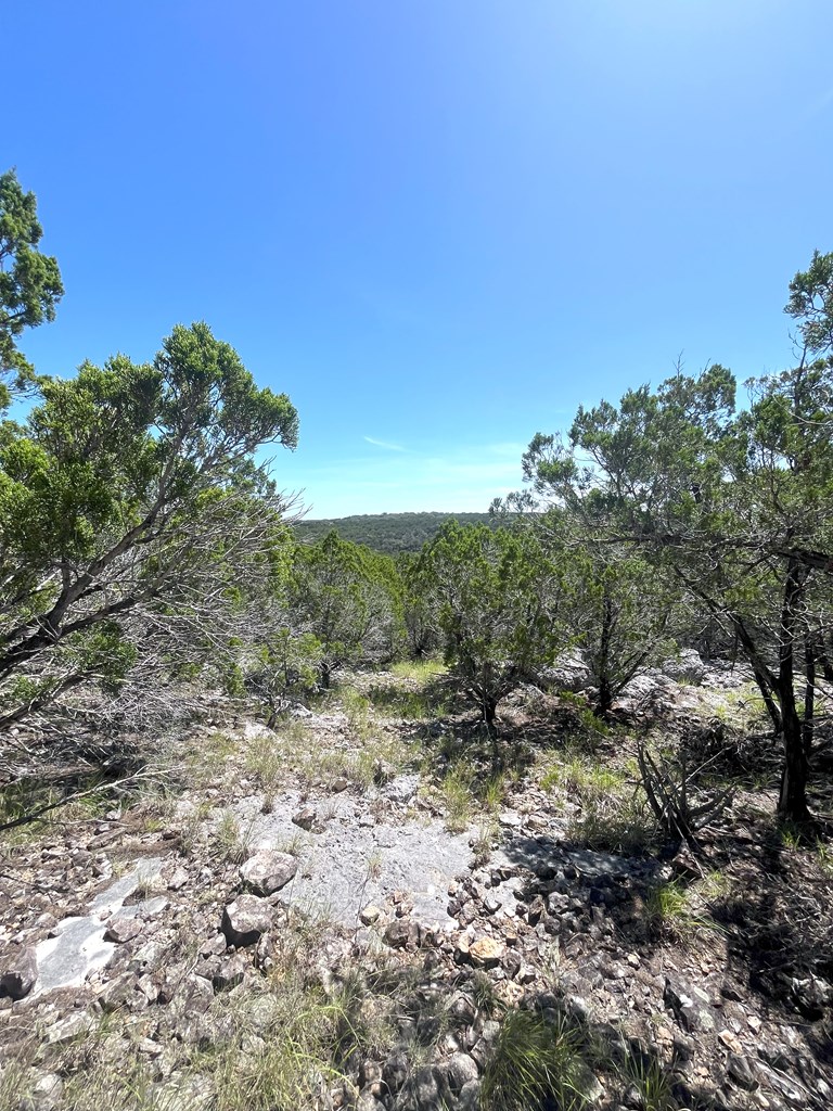 3835 Bluff Creek Road Leakey, TX 78873 - Photo 18 of 41