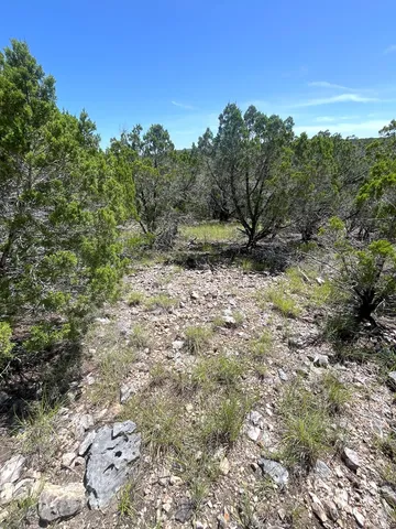 a view of a dry yard with lots of bushes