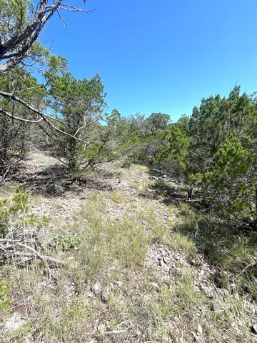 a view of a dry yard with trees