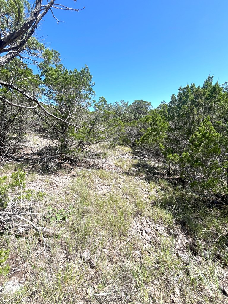 3835 Bluff Creek Road Leakey, TX 78873 - Photo 23 of 41