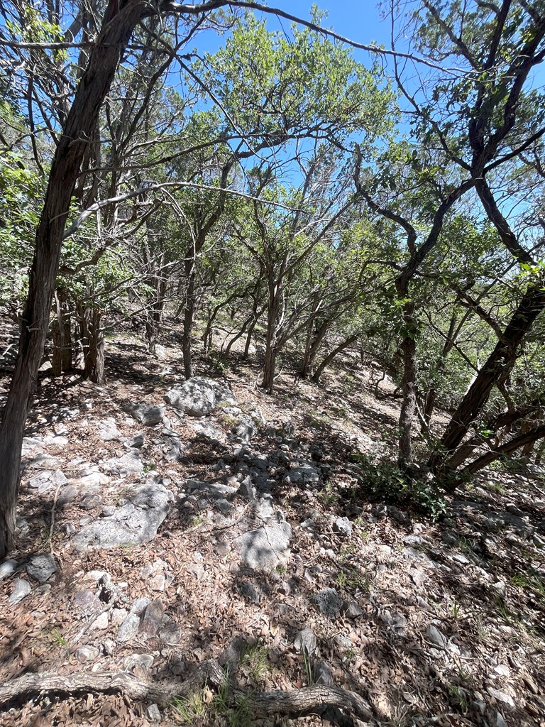 3835 Bluff Creek Road Leakey, TX 78873 - Photo 25 of 41