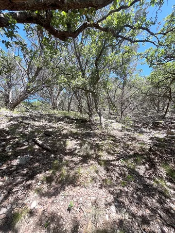 a view of a yard with plants and trees