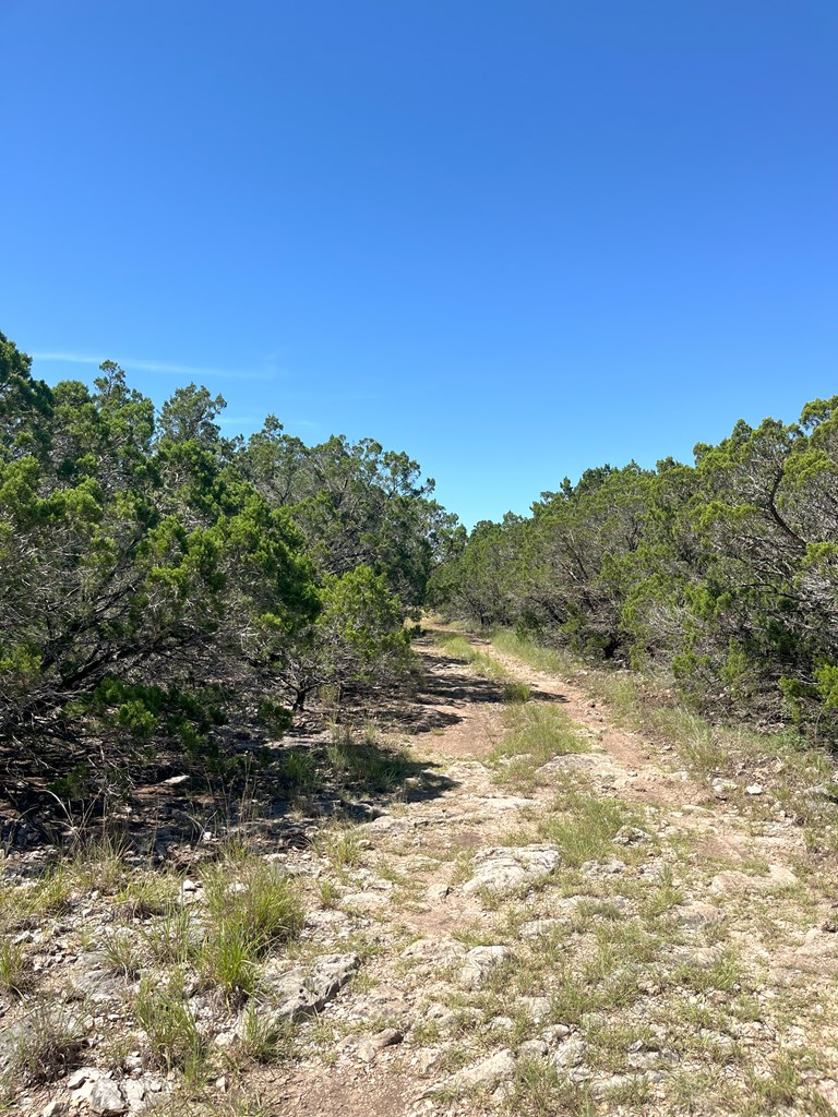 3835 Bluff Creek Road Leakey, TX 78873 - Photo 3 of 41