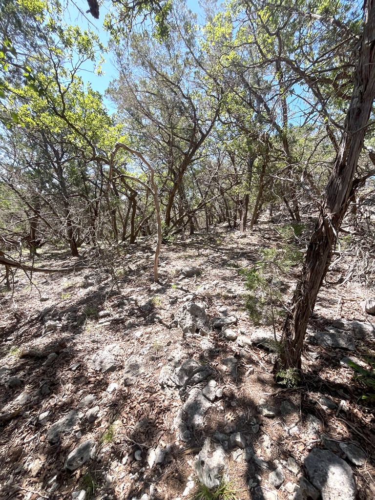 3835 Bluff Creek Road Leakey, TX 78873 - Photo 31 of 41
