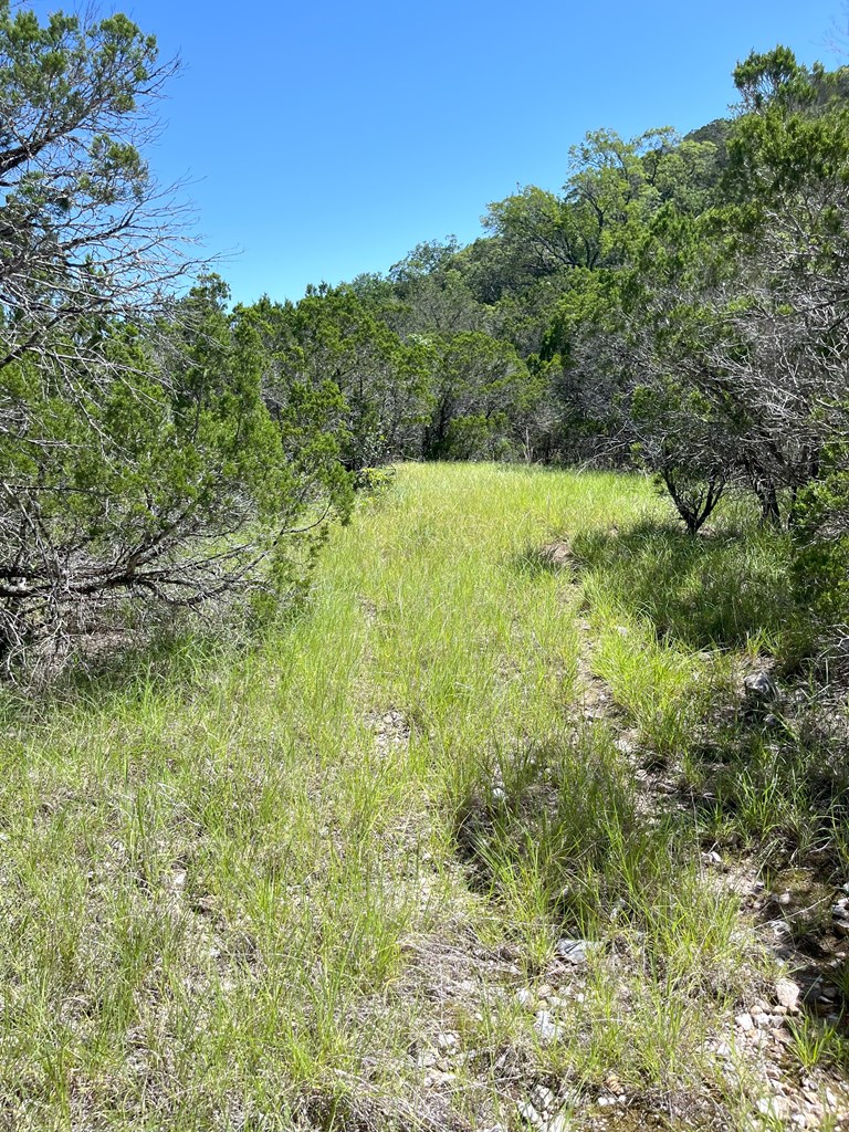 3835 Bluff Creek Road Leakey, TX 78873 - Photo 35 of 41