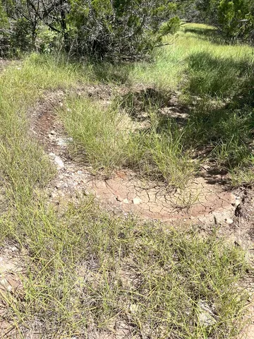 a view of swimming pool from a yard