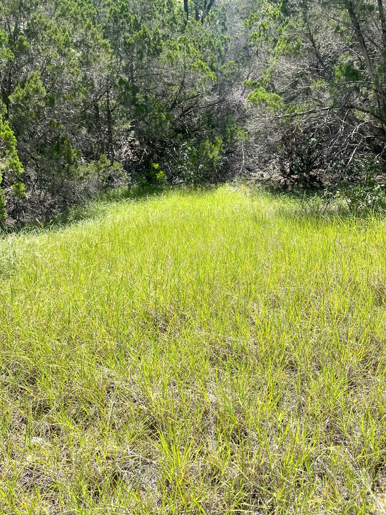 3835 Bluff Creek Road Leakey, TX 78873 - Photo 37 of 41