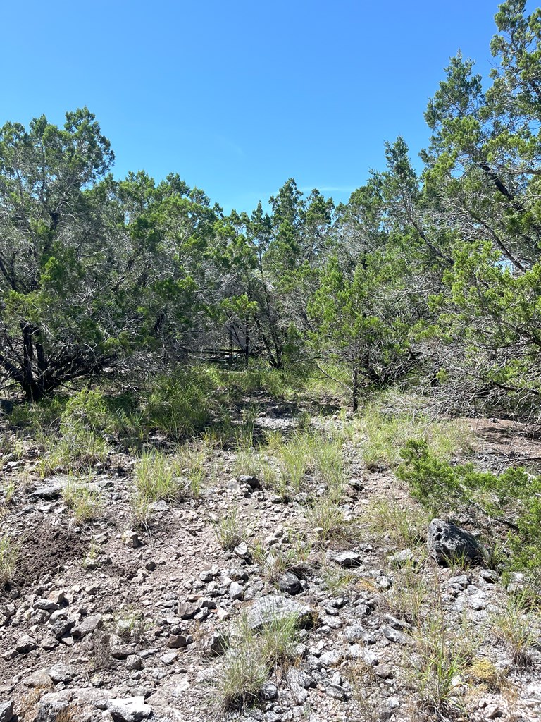 3835 Bluff Creek Road Leakey, TX 78873 - Photo 4 of 41