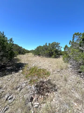 a view of mountain with tree in background