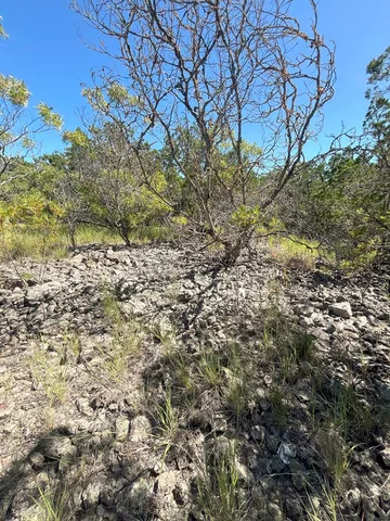 a view of a dry yard with trees in the background