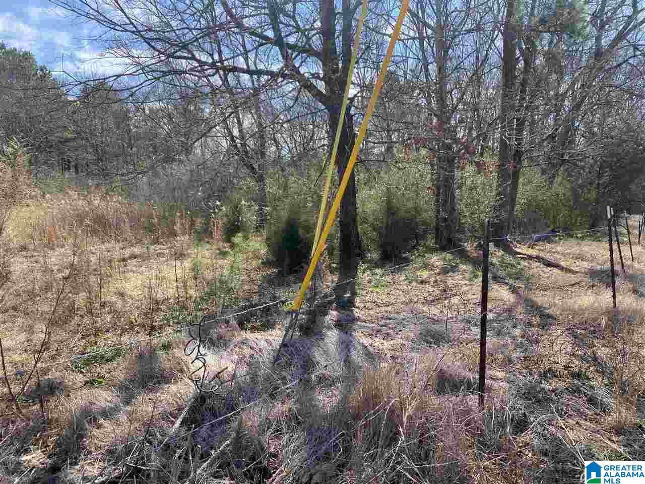 1560 Oren Miller Road, Unit 1 Warrior, AL 35180 - Photo 15 of 19