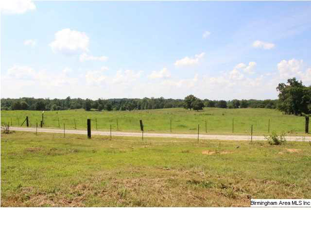Mudd Street Lincoln, AL 35096 - Photo 28 of 32