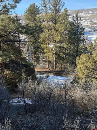 $245,000 | Lot 120 Green Meadow Lane, Placerville, CO 81430