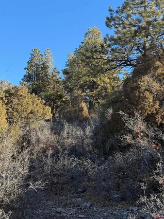 $245,000 | Lot 120 Green Meadow Lane, Placerville, CO 81430