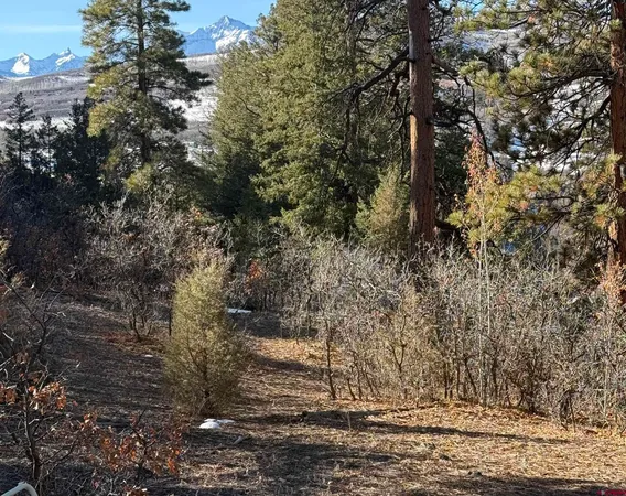 $245,000 | Lot 120 Green Meadow Lane, Placerville, CO 81430