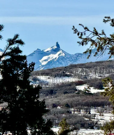 $245,000 | Lot 120 Green Meadow Lane, Placerville, CO 81430