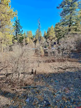 $245,000 | Lot 120 Green Meadow Lane, Placerville, CO 81430