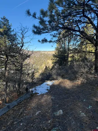 $245,000 | Lot 120 Green Meadow Lane, Placerville, CO 81430