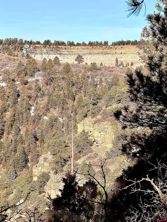 $245,000 | Lot 120 Green Meadow Lane, Placerville, CO 81430