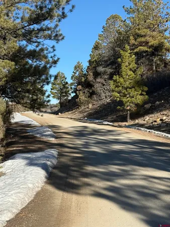 a view of a tree in a yard