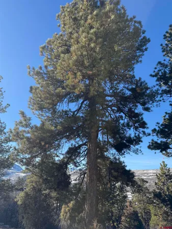 $245,000 | Lot 120 Green Meadow Lane, Placerville, CO 81430